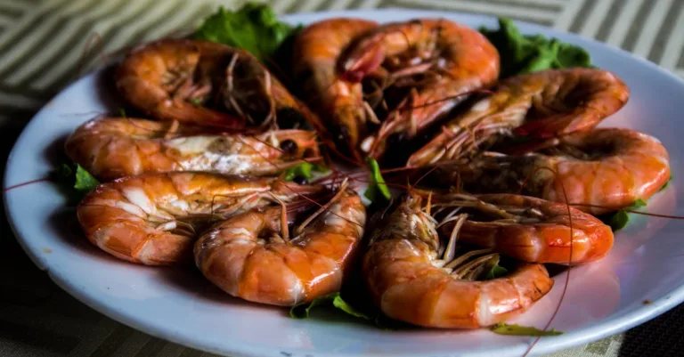 découvrez comment conserver efficacement les crevettes cuites pour préserver leur fraîcheur et leur saveur. astuces de stockage au réfrigérateur et au congélateur.