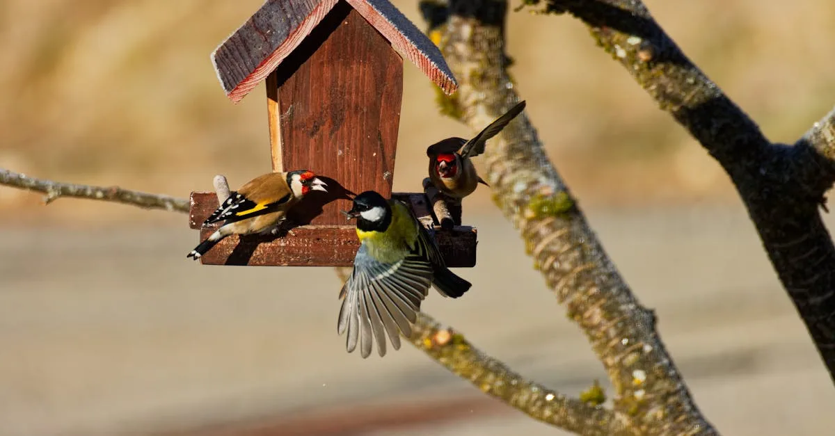 découvrez comment attirer les mésanges dans votre nichoir grâce à nos conseils pratiques pour créer un habitat idéal et favoriser leur présence dans votre jardin.