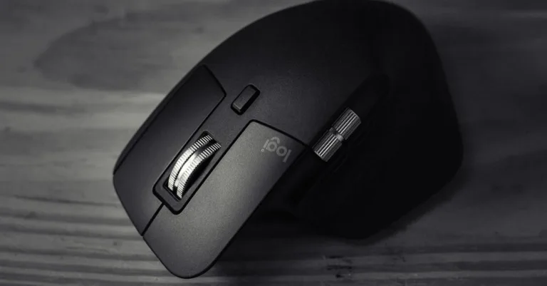 découvrez les méthodes efficaces pour le contrôle des souris, incluant la prévention, la détection et les solutions adaptées pour protéger votre espace.