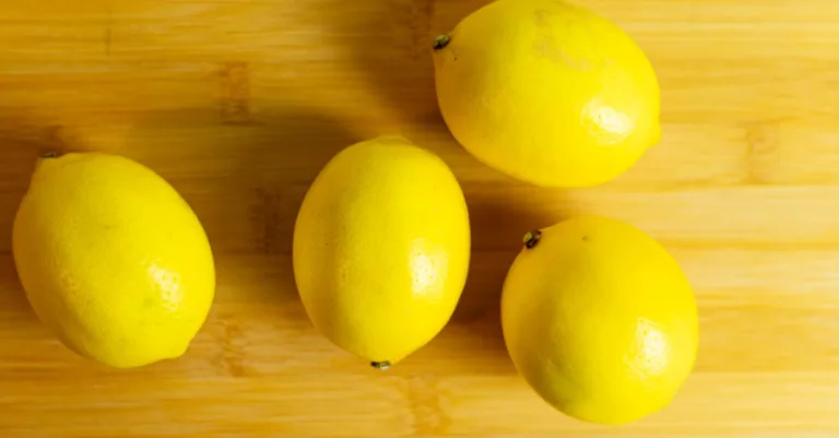 découvrez une recette authentique de limoncello pour préparer facilement cette liqueur italienne citronnée et rafraîchissante chez vous.
