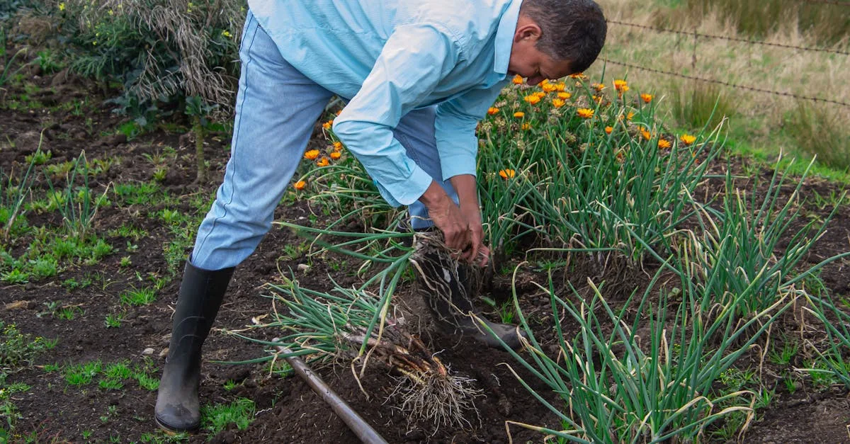 formations en jardinage pour apprendre les techniques essentielles et maîtriser l'art du jardinage, adaptés à tous les niveaux.
