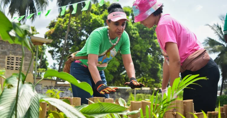formation en jardinage : apprenez les techniques essentielles pour cultiver un jardin florissant et durable, adapté à tous les niveaux.