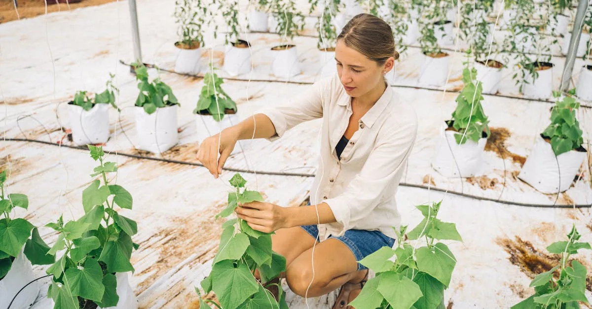 découvrez notre ferme innovante et durable, alliant technologies modernes et pratiques respectueuses de l'environnement pour une agriculture responsable et efficace.