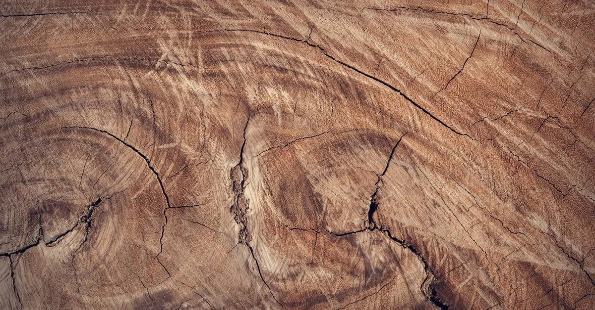découvrez l'importance de l'épaisseur de l'isolation en fibres de bois pour optimiser l'efficacité énergétique et le confort thermique de votre habitation.