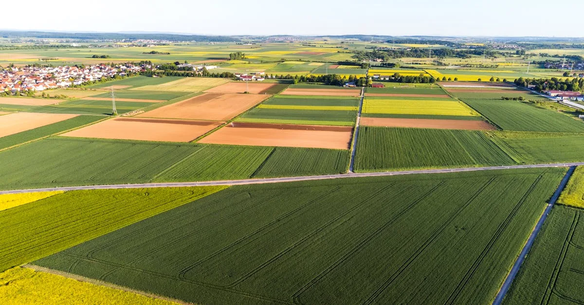 services d'assurance agricole adaptés pour protéger les exploitations contre les risques climatiques, les maladies et les pertes financières.