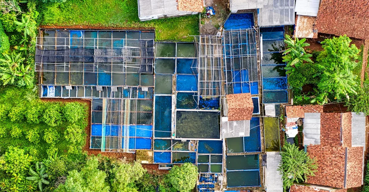 découvrez comment optimiser l'aquaponie pour maximiser la production durable de poissons et de plantes grâce à des techniques innovantes et respectueuses de l'environnement.