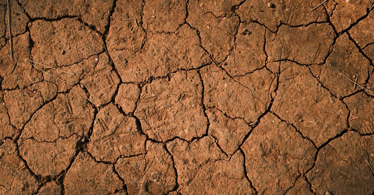 découvrez ce qu'est le compactage des sols, ses causes, ses effets sur l'environnement et les techniques pour le prévenir et le corriger efficacement.