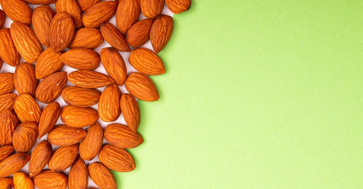 découvrez almond green, une teinte élégante et naturelle qui apporte fraîcheur et sérénité à votre décoration intérieure.