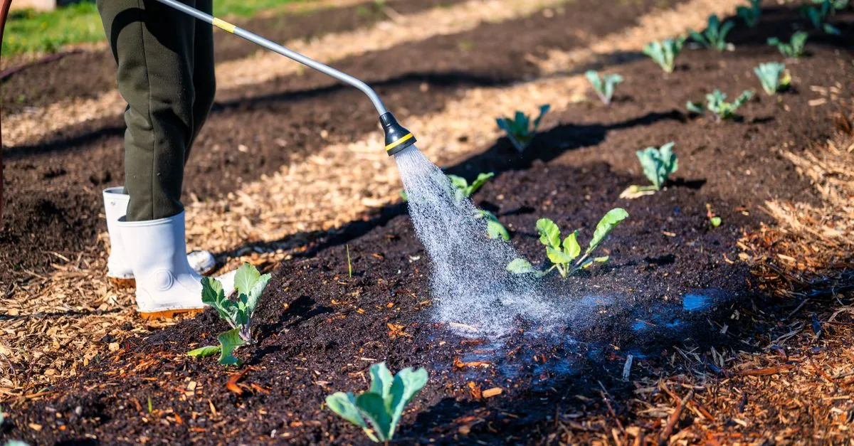 découvrez nos conseils essentiels pour arroser efficacement votre jardin et préserver vos plantes en pleine santé toute l'année.