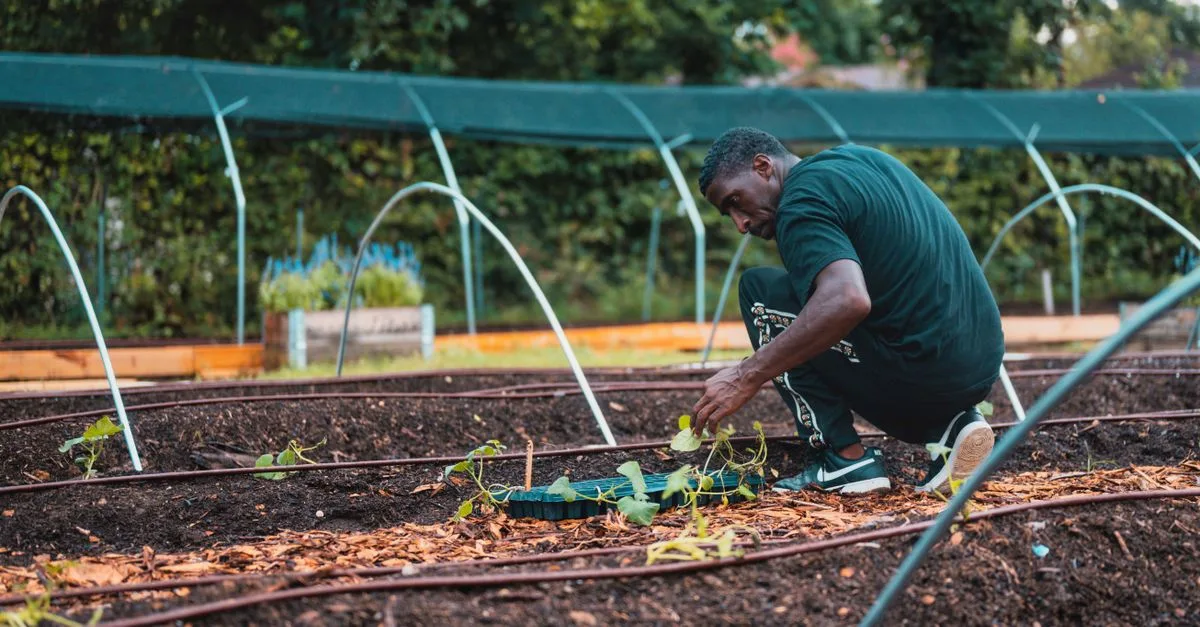 découvrez nos conseils essentiels pour arroser votre jardin efficacement et économiser l'eau tout en assurant la santé de vos plantes.
