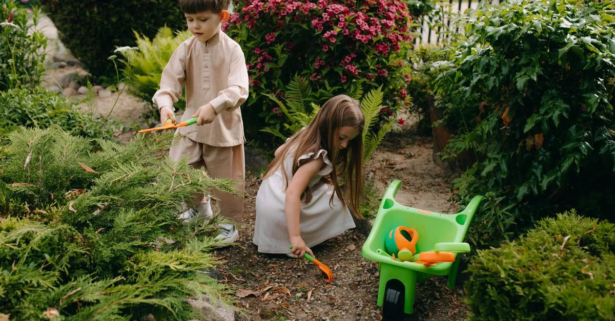 découvrez notre sélection d'outils de jardinage performants et durables pour entretenir votre jardin avec facilité et efficacité.
