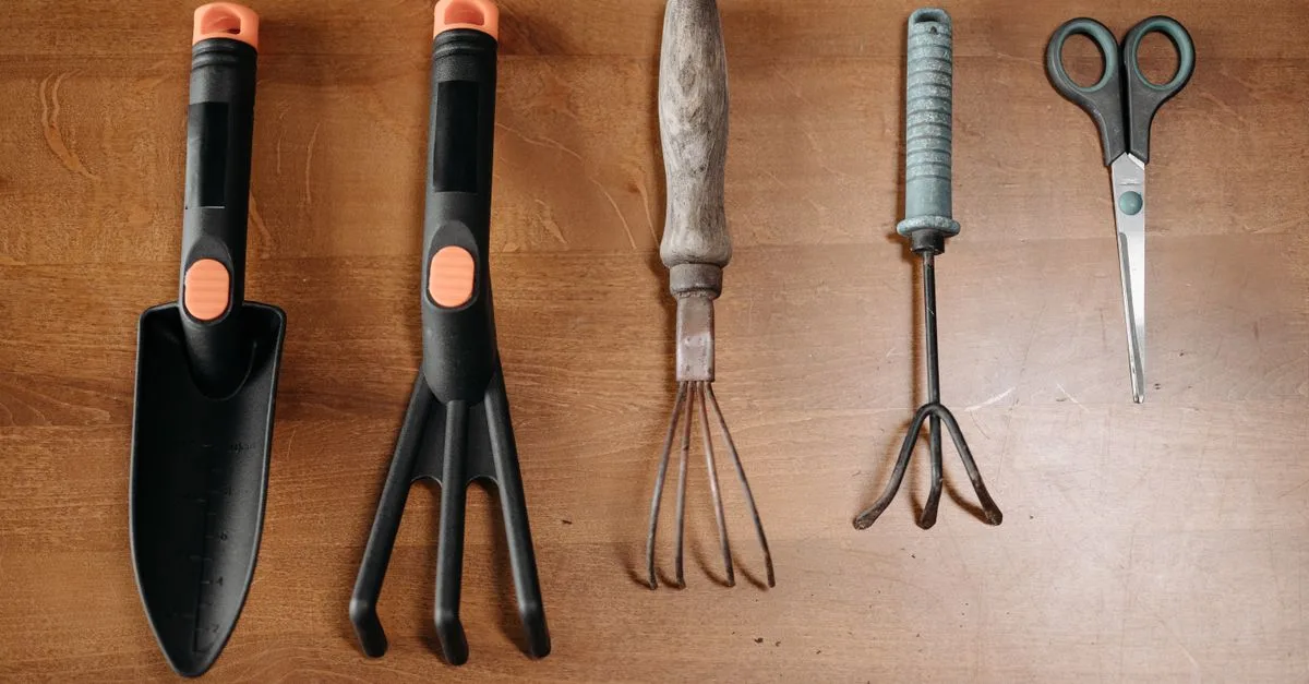 découvrez notre sélection d'outils de jardinage de qualité pour entretenir facilement votre jardin et favoriser la croissance de vos plantes.