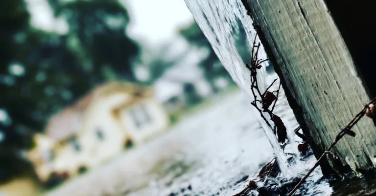 découvrez les techniques efficaces de collecte d'eau de pluie pour économiser l'eau, réduire votre facture et préserver l'environnement grâce à la récupération des eaux pluviales.