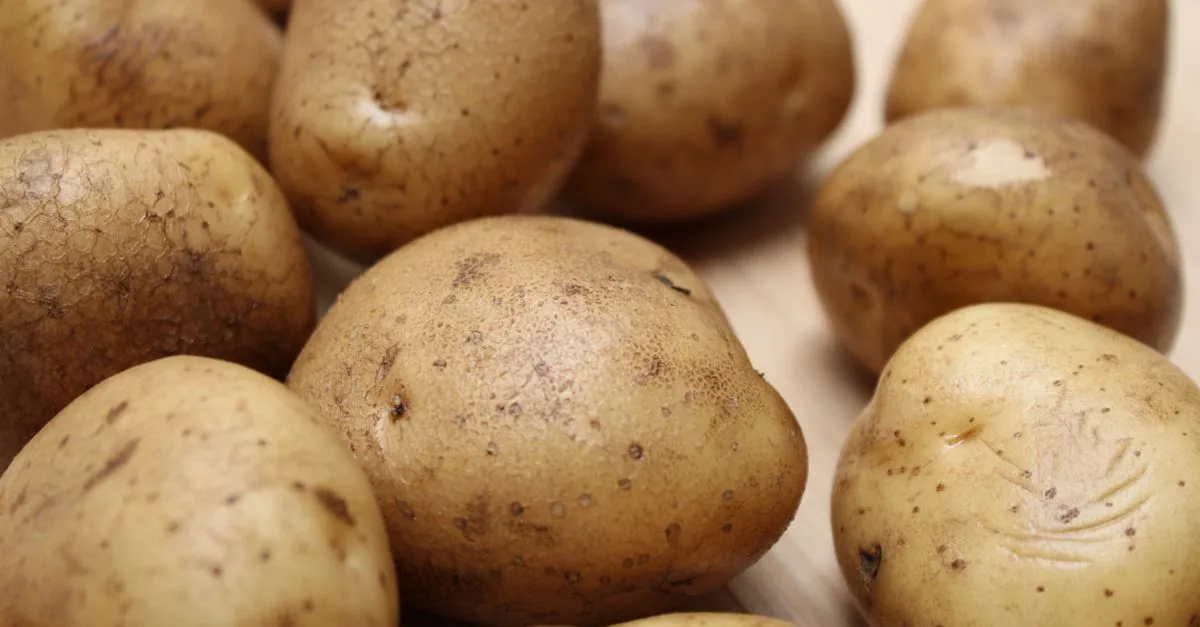 découvrez l'univers des petites pommes de terre : recettes simples, astuces de cuisson et bienfaits nutritionnels pour vos repas quotidiens.