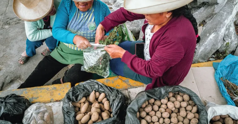 découvrez tout sur les petites pommes de terre : recettes savoureuses, conseils de cuisson et astuces pour sublimer ce tubercule modeste mais délicieux.