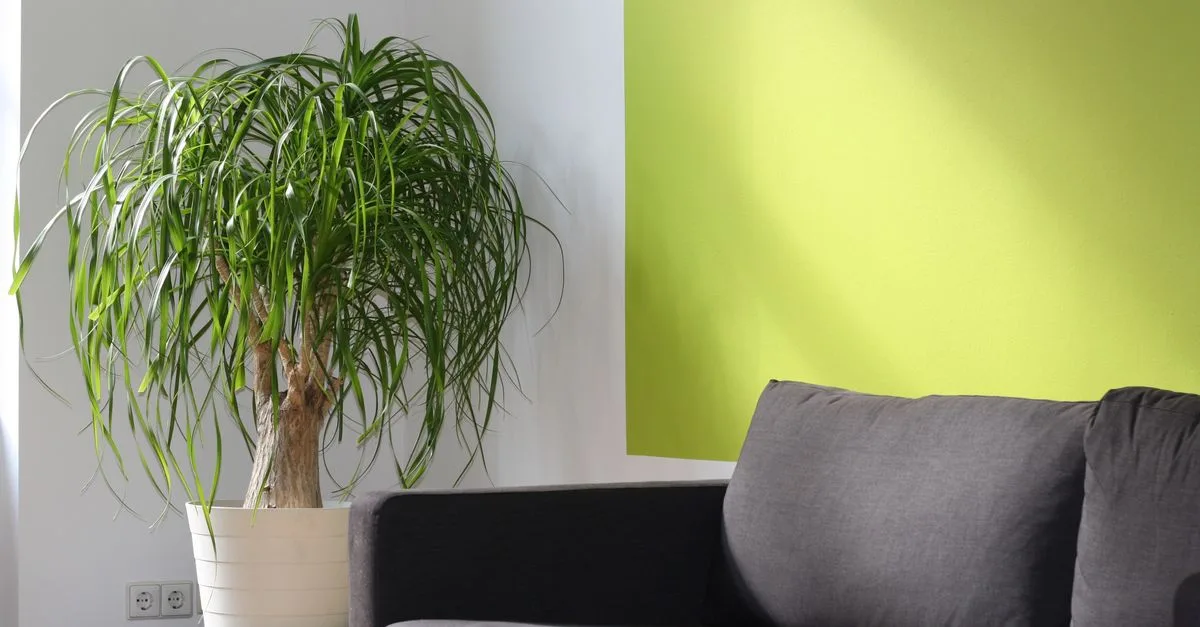 découvrez des idées inspirantes et conseils pratiques pour l'aménagement intérieur, alliant esthétique et fonctionnalité pour sublimer votre espace de vie.