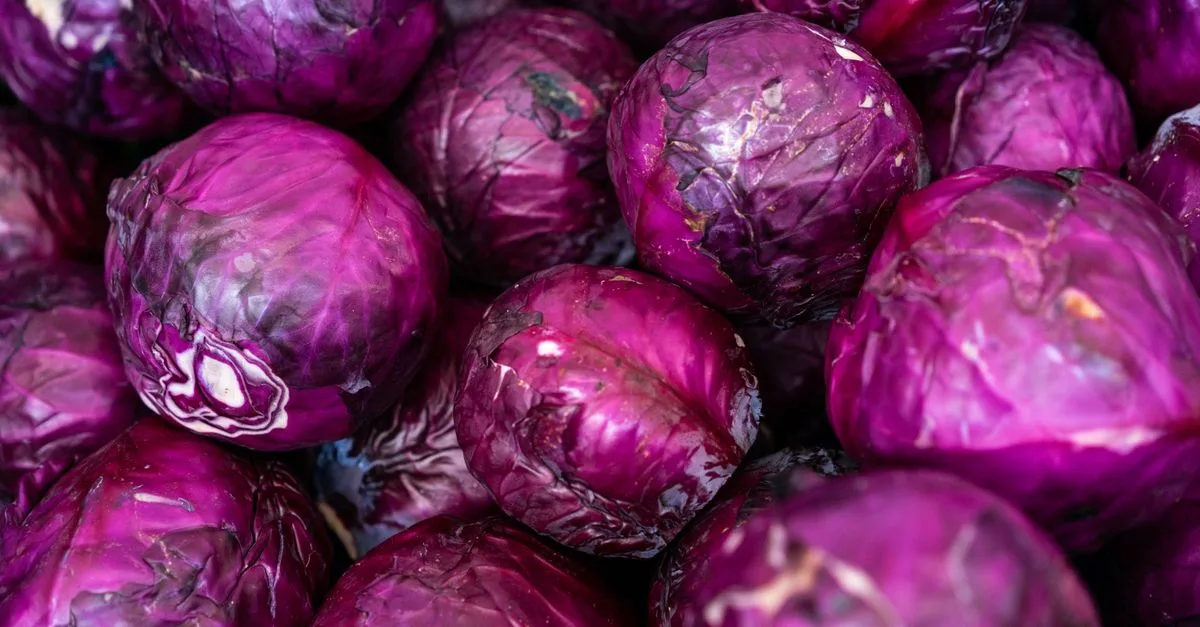 découvrez une recette savoureuse de chou rouge braisé aux pommes, tendre et parfumé, idéale pour accompagner vos plats d’automne et d’hiver.