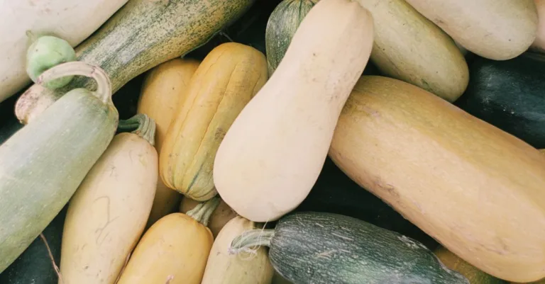 découvrez la courge spaghetti : comment la cuisiner, la préparer et savourer ses filaments fondants en alternative légère aux pâtes.